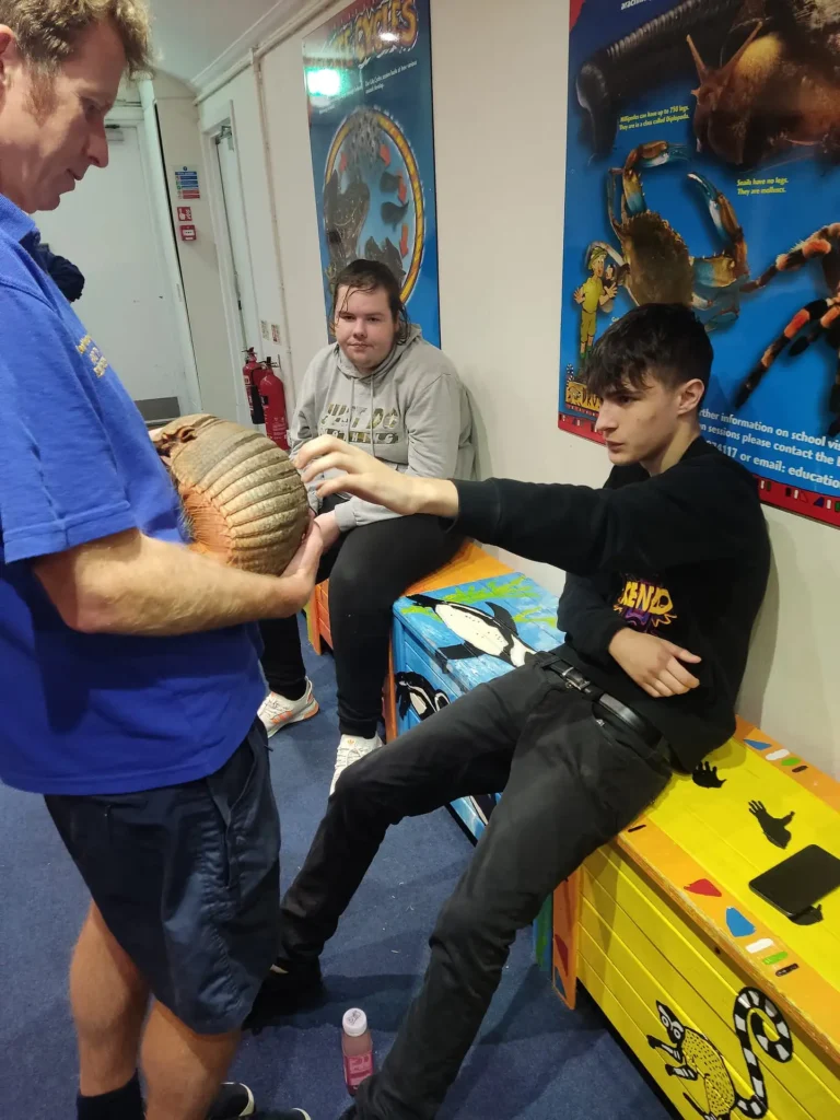 Pet and Animals New (13)
